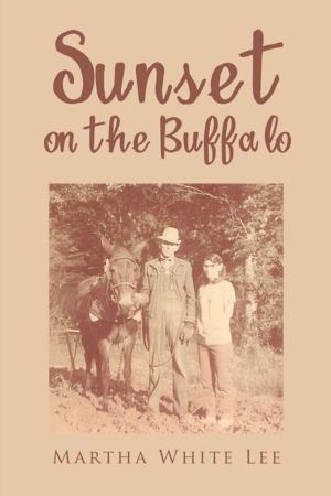 bigCover of the book Sunset on the Buffalo by 
