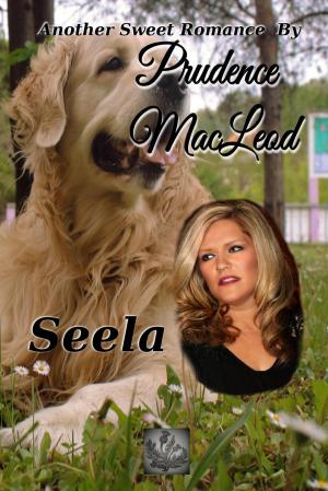 Cover of the book Seela by K'Anne Meinel