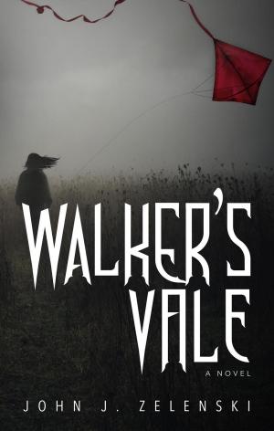 Cover of the book Walker's Vale by Amy Fleming