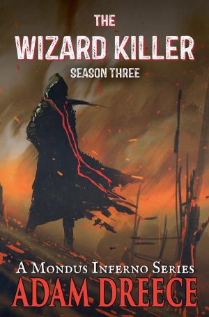 Book cover of The Wizard Killer - Season Three