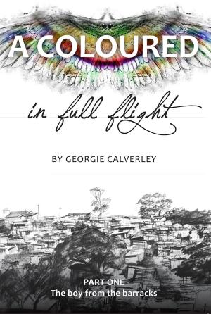 Cover of the book A Coloured in Full Flight by Bernadette Dullin