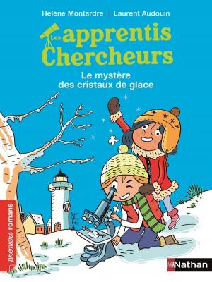 Cover of the book Les Apprentis chercheurs : Le mystère des cristaux de glace by Élisabeth Simonin, Pascal Joly