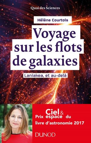 Cover of the book Voyage sur les flots de galaxies - 2e éd by Michel Sion