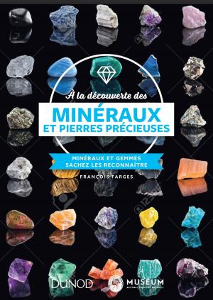 Cover of the book À la découverte des minéraux et pierres précieuses by Dominique DAVID, Thierry de Montbrial, I.F.R.I.