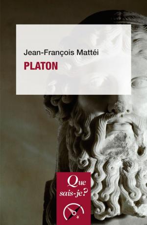 Cover of the book Platon by Samuel Lézé