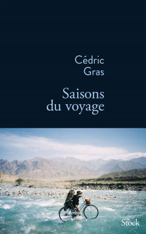 Cover of the book Saisons du voyage by François Rollin