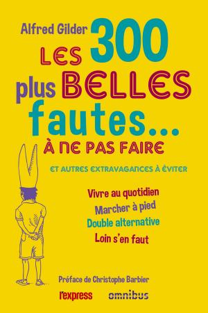 Cover of the book Les 300 plus belles fautes à ne pas faire by Dominique FERNANDEZ