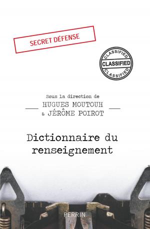 Cover of the book Dictionnaire du renseignement by Henriette BERNIER