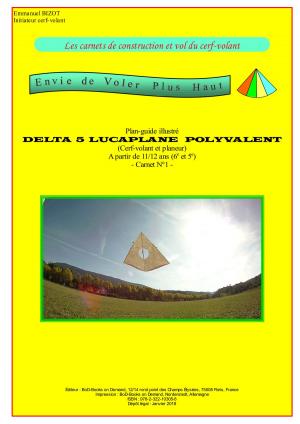Cover of the book Les carnets de construction et vol du cerf-volant by 
