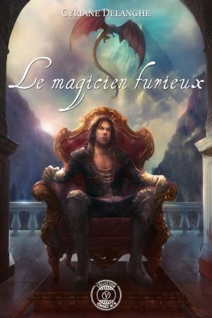 Cover of the book Le magicien furieux by Cyriane Delanghe