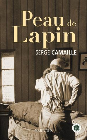 Cover of the book Peau de lapin by Gérard Bardon