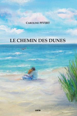 Cover of the book Le chemin des dunes by Yves Couturier