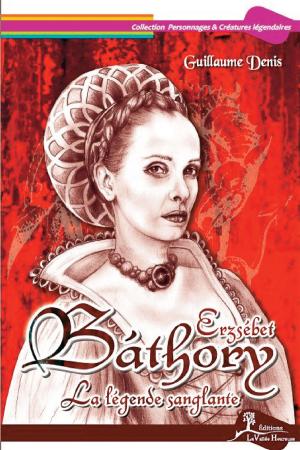 Cover of the book Erzsébet Báthory by Philippe Mathelet