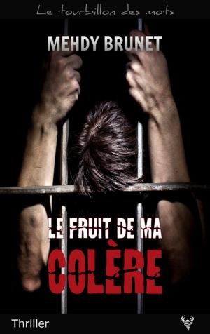 Cover of the book Le Fruit de ma colère by Ottilie Weber