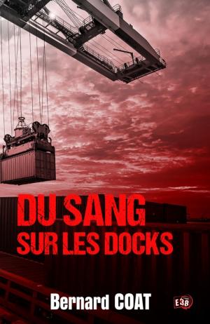 Cover of the book Du sang sur les docks by Christine Machureau