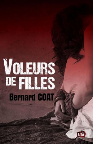 Book cover of Voleurs de filles