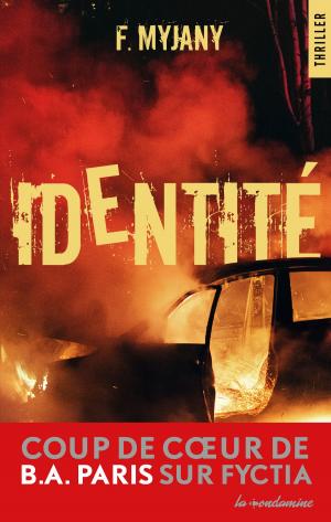 Cover of the book Identité by Pierre Menes, Daniel Riolo