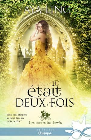 Cover of the book Il était deux fois by Cecy Robson