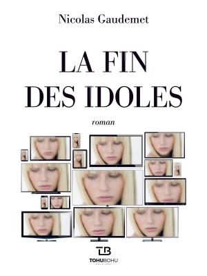 Cover of the book La Fin des Idoles by Brooks Rexroat