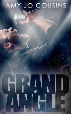 Book cover of Grand angle