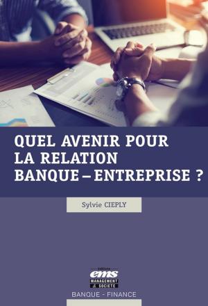Cover of the book Quel avenir pour la relation banque - entreprise ? by Marion Polge, Caroline Debray, Agnès Paradas, Colette Fourcade