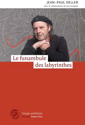 Cover of the book Le funambule des labyrinthes by JB Salsbury