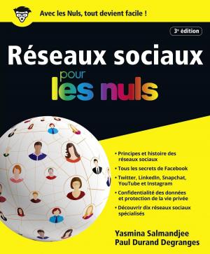Book cover of Les réseaux sociaux pour les Nuls, grand format, 3e édition