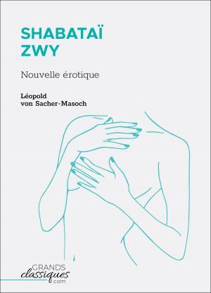 Cover of the book Shabataï ZWY by Anne Kinsey