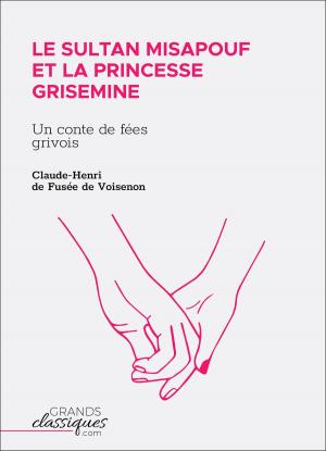 Cover of the book Le Sultan Misapouf et la princesse Grisemine by Laurent Tailhade