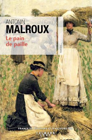 Book cover of Le Pain de paille