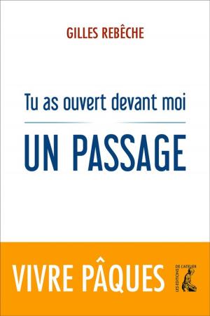 Cover of the book Tu as ouvert devant moi un passage by Jean Bellanger