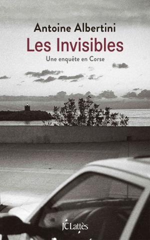 Cover of the book Les invisibles by Bernard Tirtiaux