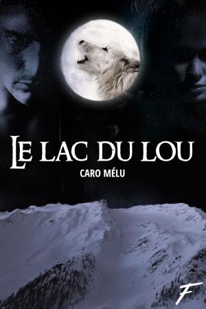 Cover of the book Le lac du Lou by Dominique Drouin
