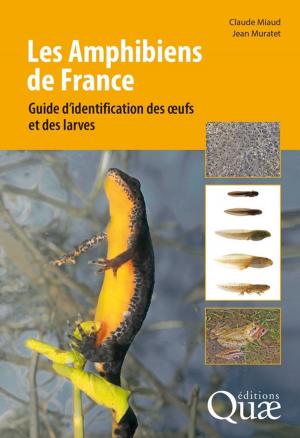 Cover of the book Les Amphibiens de France by Jacques Bony, Dominique Pomiès