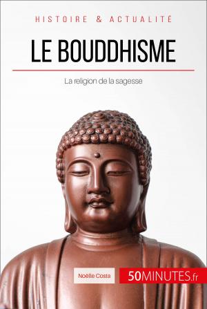 Cover of the book Le bouddhisme by Mélanie Mettra, 50 minutes, Damien Glad