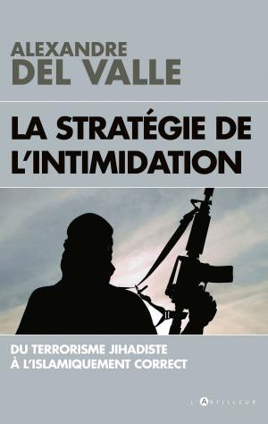 Cover of the book La stratégie de l'intimidation by Jean-Claude Barreau