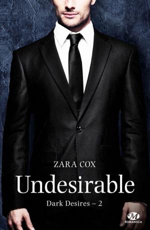 Book cover of Undesirable