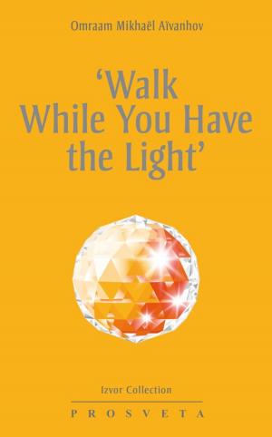 Cover of the book ‘Walk While You Have the Light' by Omraam Mikhaël Aïvanhov