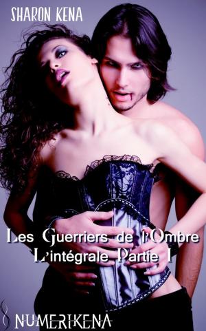 Book cover of Les guerriers de l'ombre - Offre découverte - Partie 1