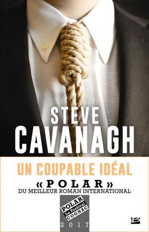 Cover of the book Un Coupable idéal by Adam Christopher