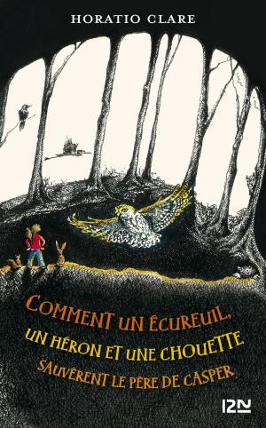 Cover of the book Comment un écureuil, un héron et une chouette sauvèrent le père de Casper by Kristine BARNETT