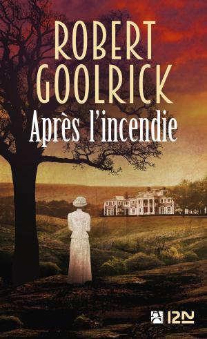 Cover of the book Après l'incendie by Odile WEULERSSE