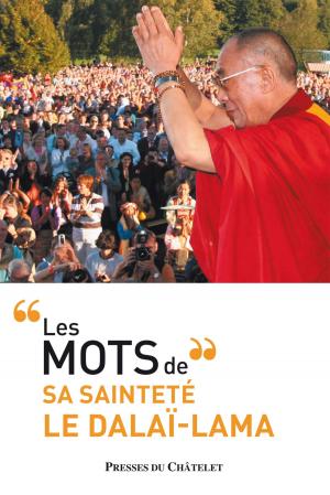 Cover of the book Les mots du dalaï-lama by Frank Lalou