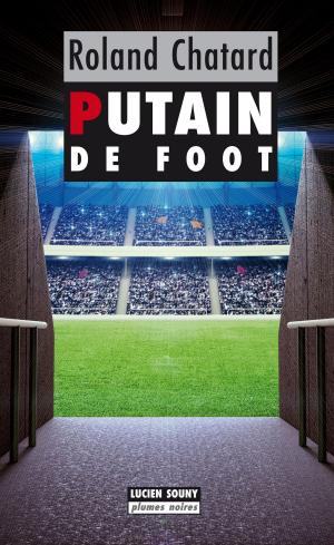 Cover of the book Putain de foot by Danielle Boissé
