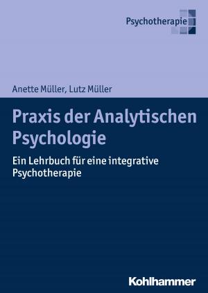 Cover of the book Praxis der Analytischen Psychologie by Bettina Lindmeier, Christian Lindmeier