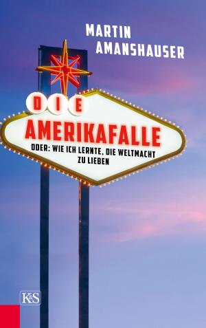 Cover of the book Die Amerikafalle by Erhard Busek, Trautl Brandstaller