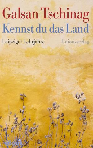 Cover of the book Kennst du das Land by Galsan Tschinag