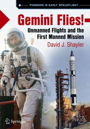bigCover of the book Gemini Flies! by 