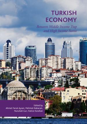 Cover of the book Turkish Economy by Dirk Schulze-Makuch