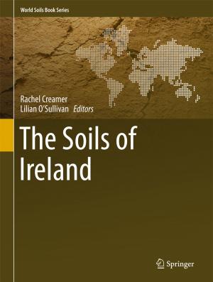 Cover of the book The Soils of Ireland by 特胡夫特Gerard 't Hooft, 范都仁Stefan Vandoren